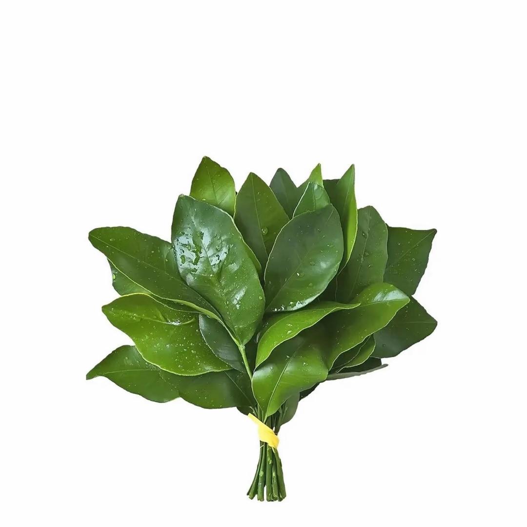 鸡蛋滚蛋