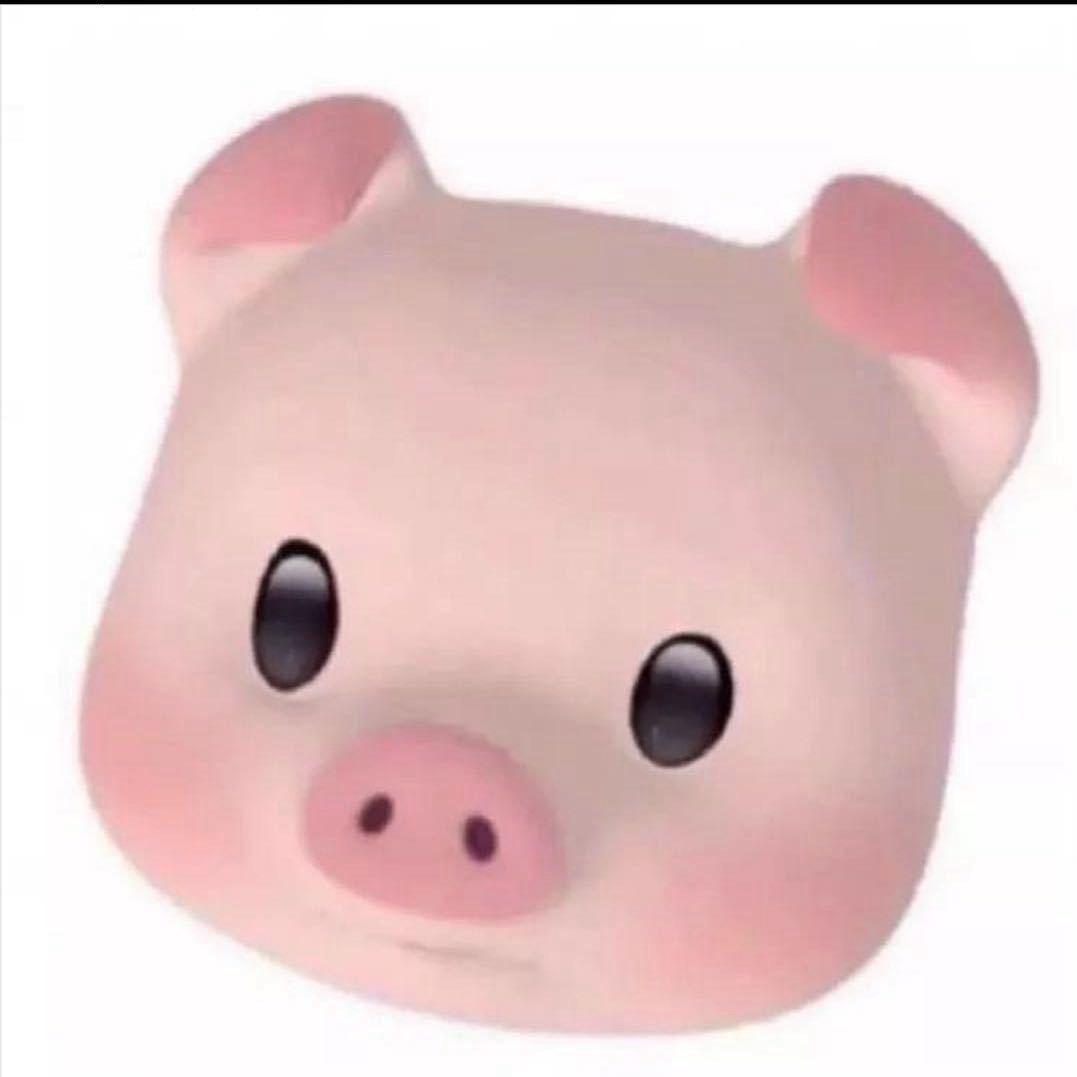 花小猪🐷