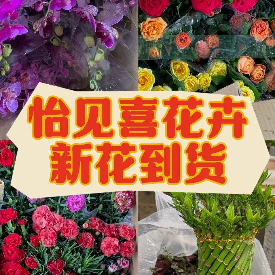 安国怡见喜花卉