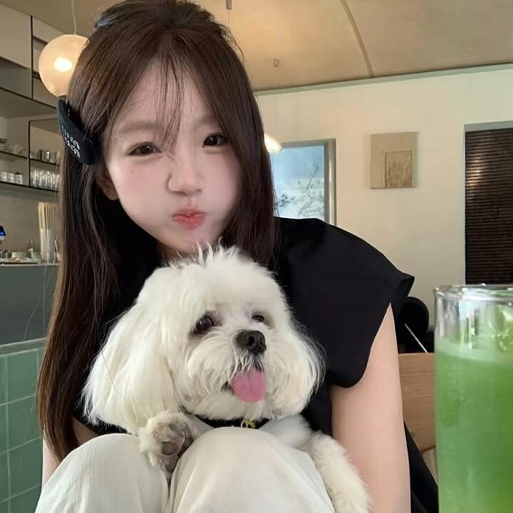 呆呆💤