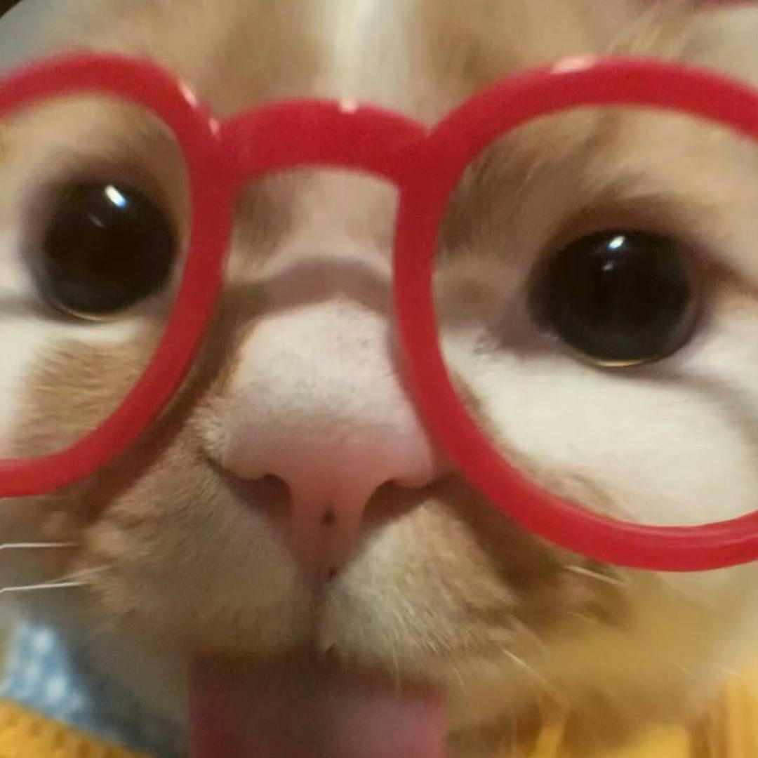 不知道叫什么