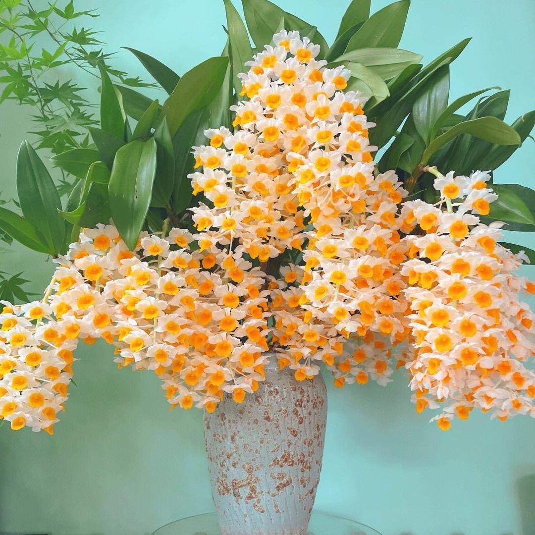 一花之匠