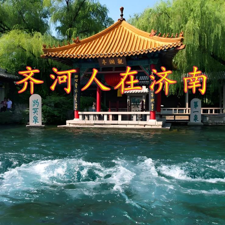 齐河人在济南