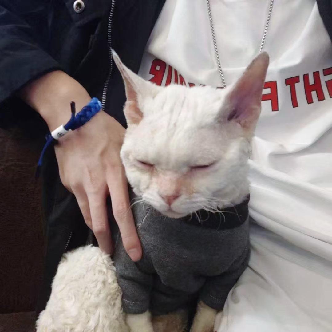 太坦白