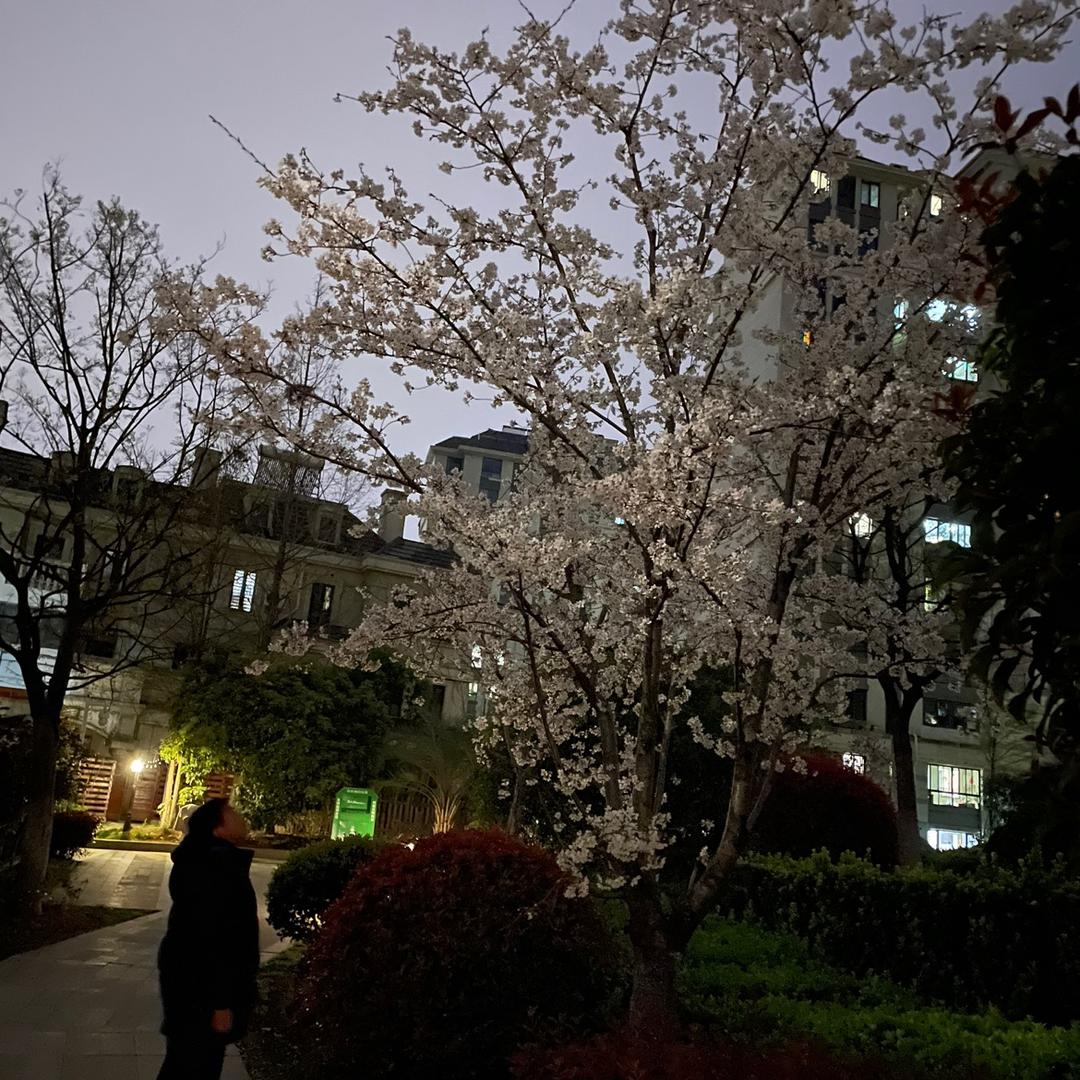 安静～
