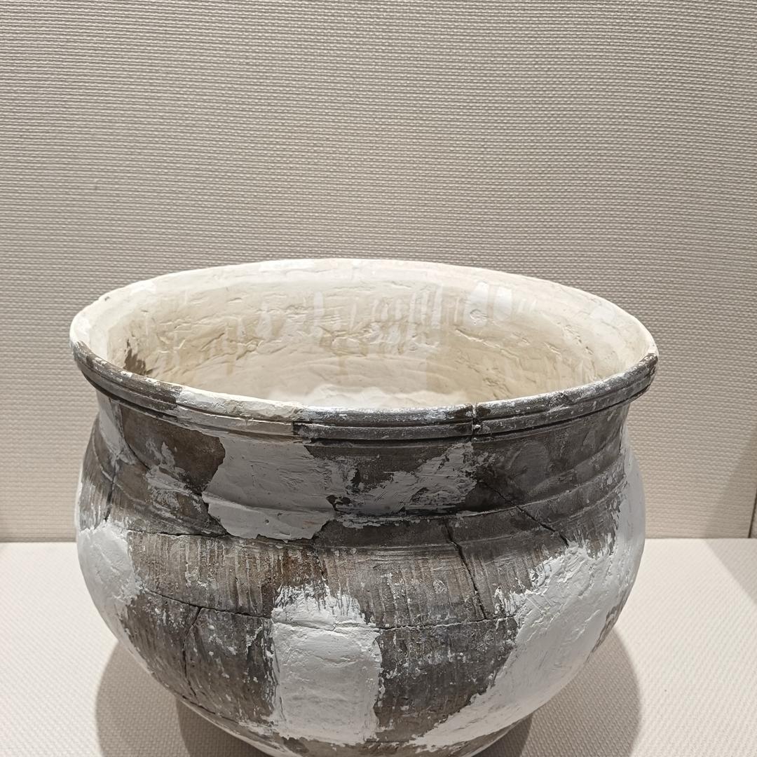 杨老师收藏品（上山）