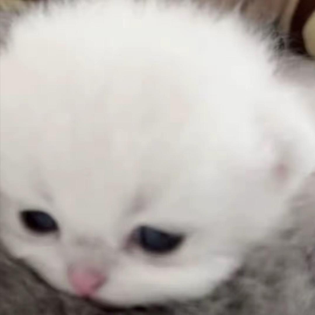 T T
