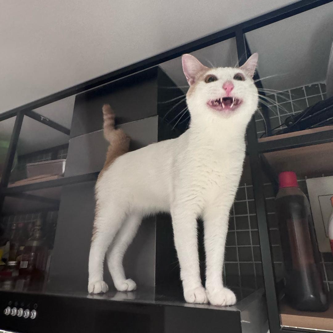 千万万