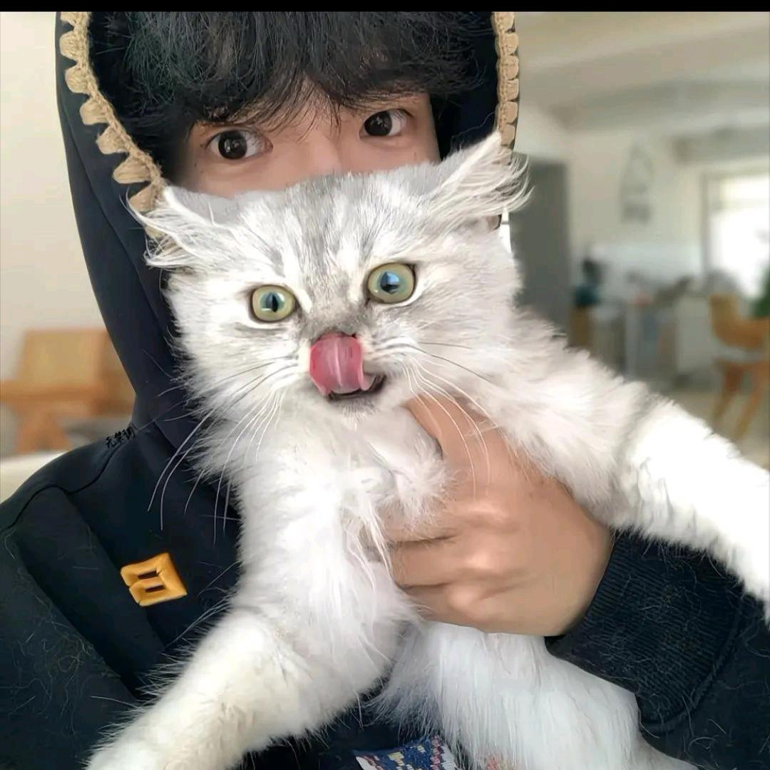 小鹏