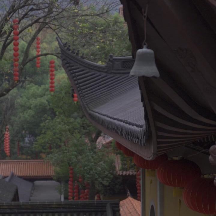 净一老师