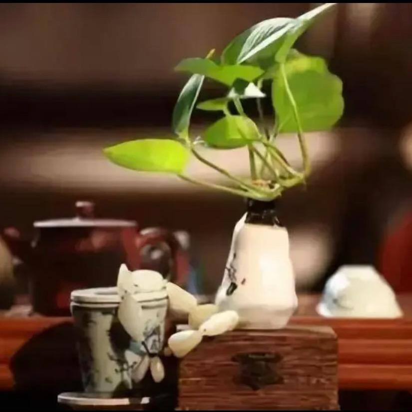 子衿
