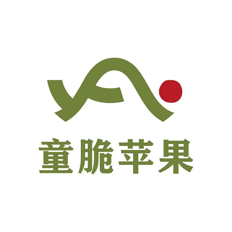 童脆陕西童脆农业科技有限公司蔬菜制品专卖店