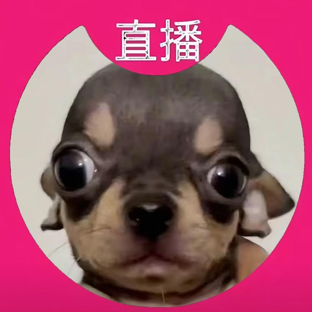 mynameislijieee