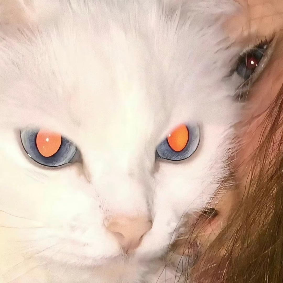 ꪔ̤̫头像