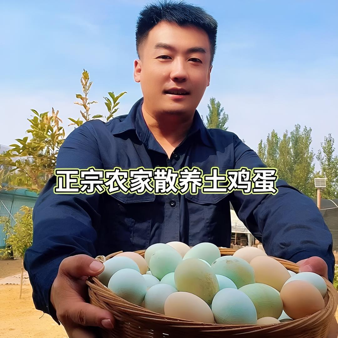 小林哥乡村日志