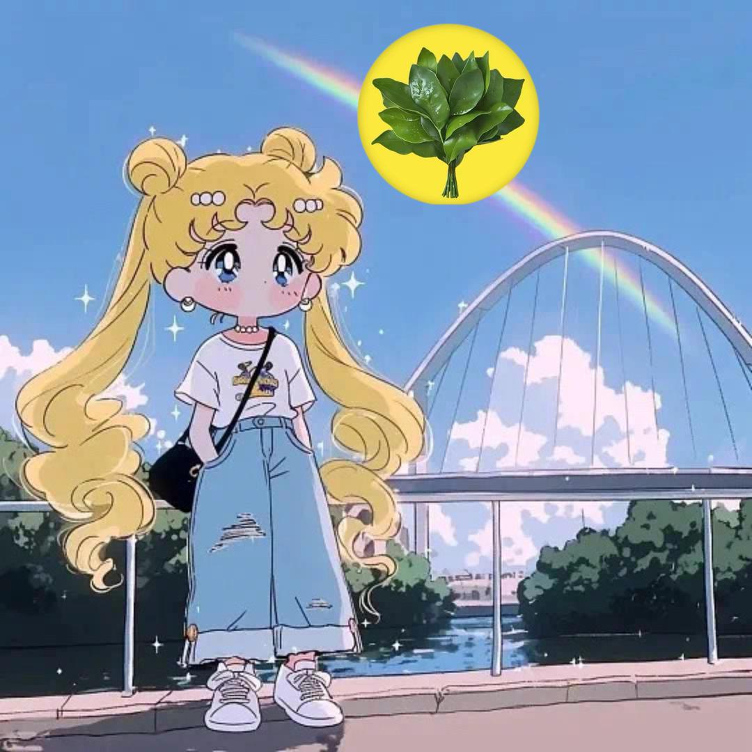 赵皮皮（王者荣耀）