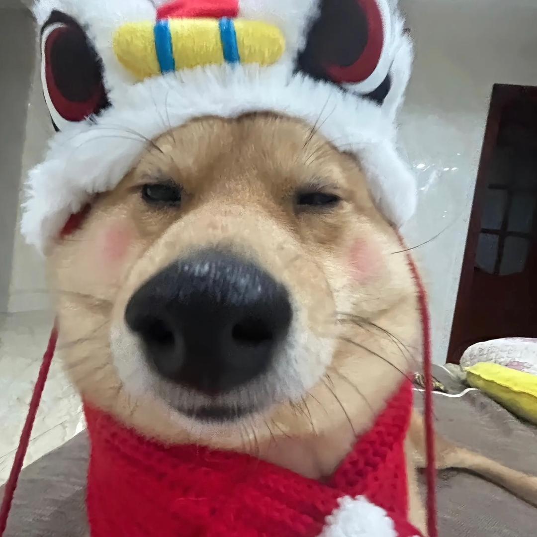 小羽剑姬（极具进攻性）