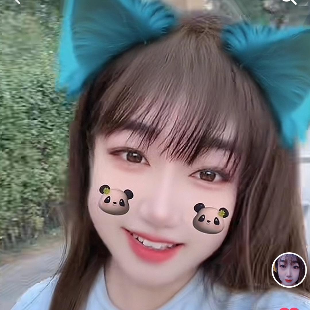✨三只小熊的橱窗✨