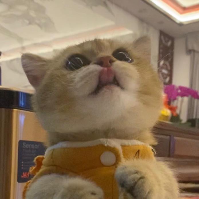 Ligo李狗