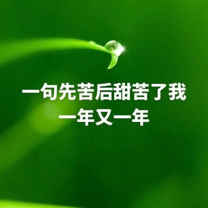 毛毛雨
