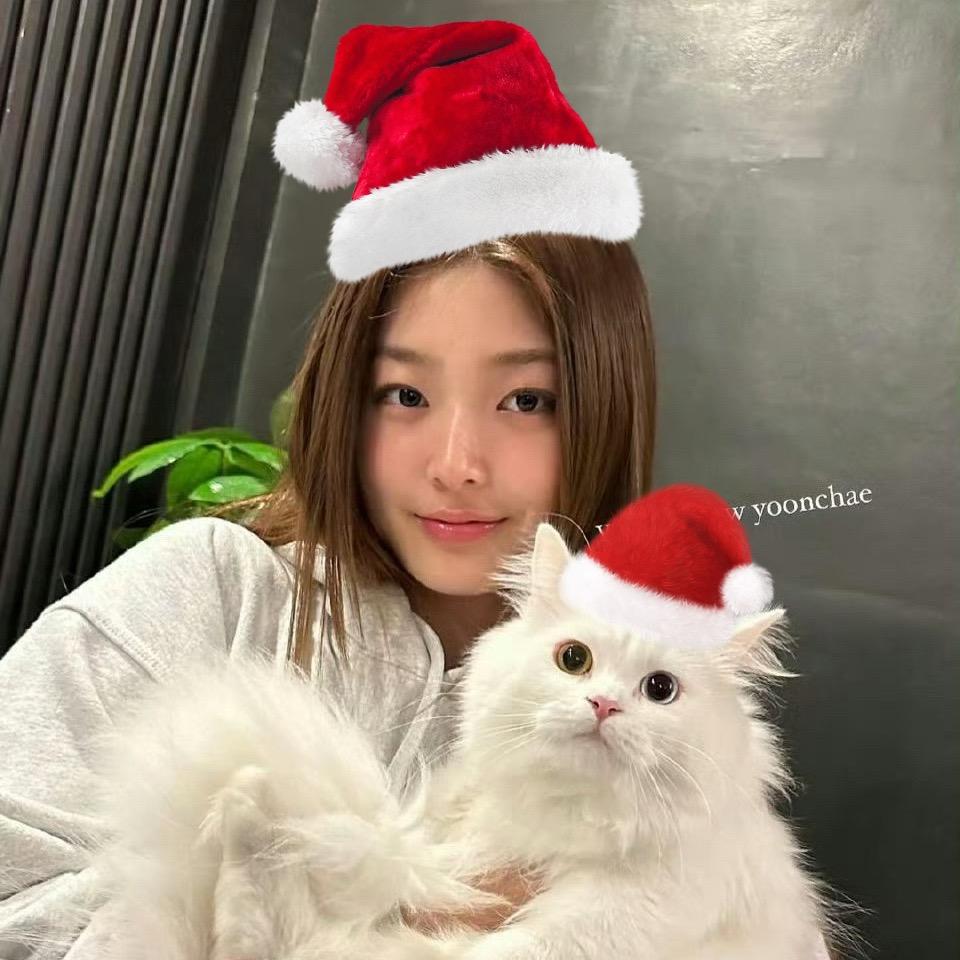 ＝D