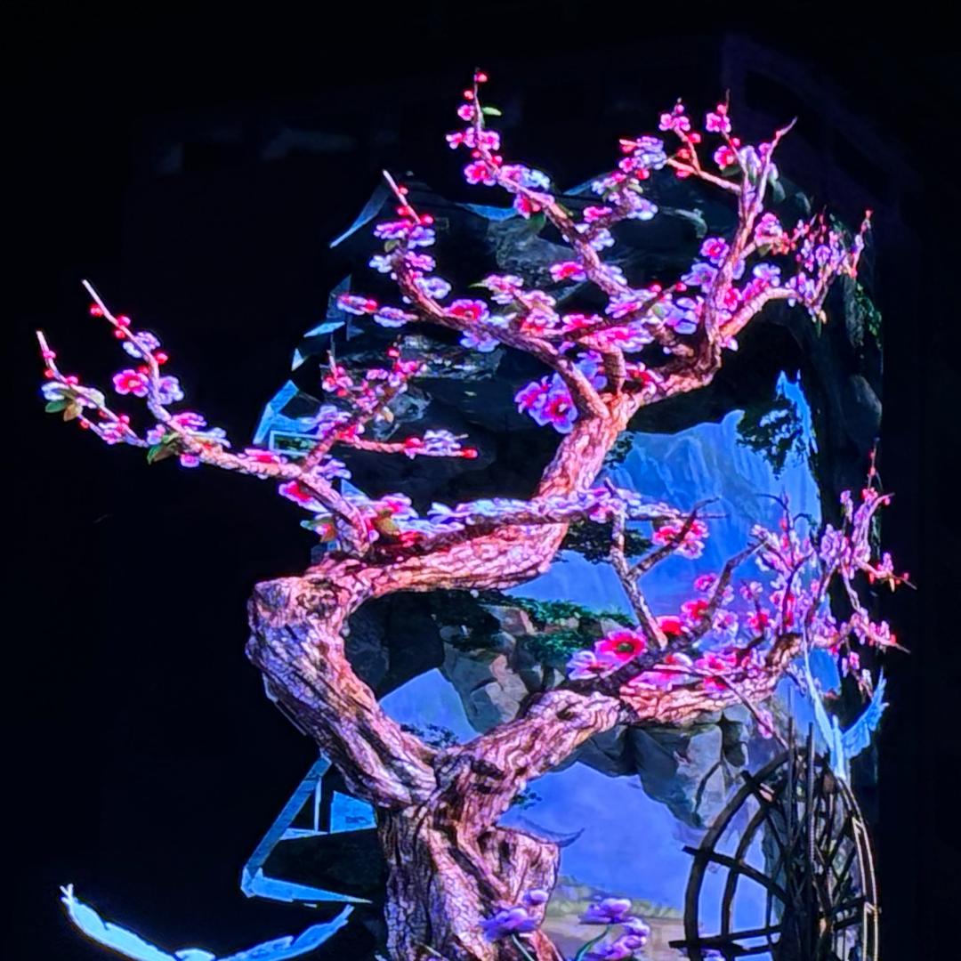 宝乐