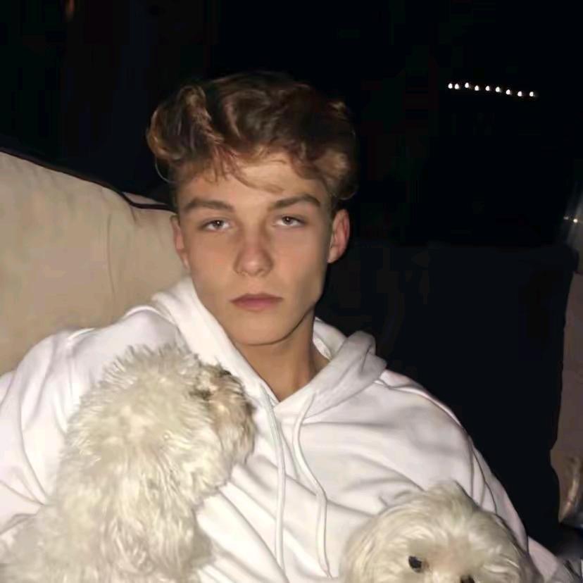 💤💤