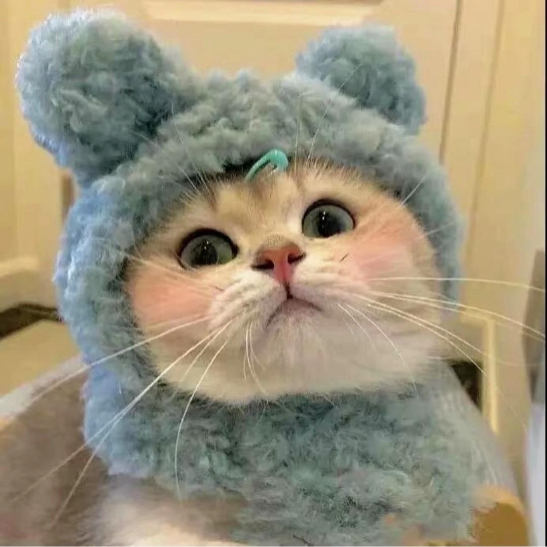 迷你仙