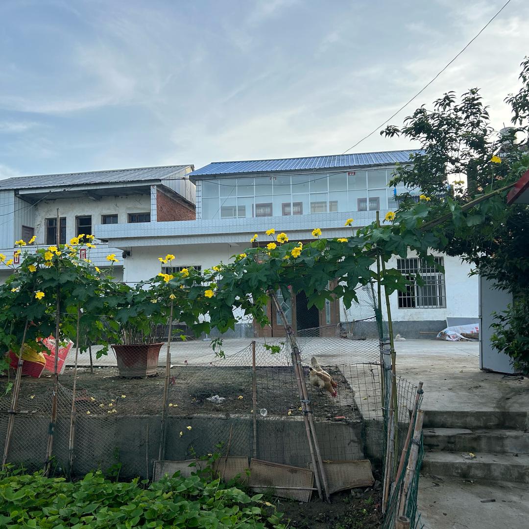 中国🇨🇳人：