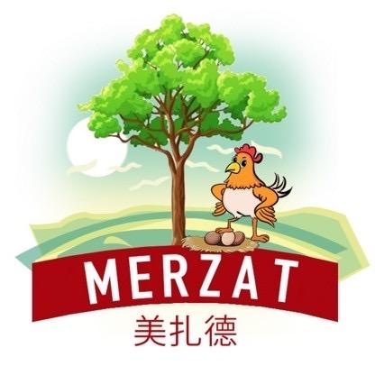 nur  艾力