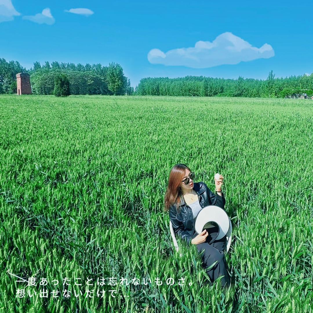 柚子DAN