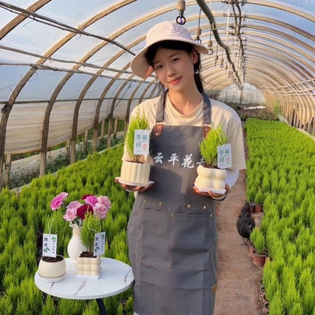 云平花卉