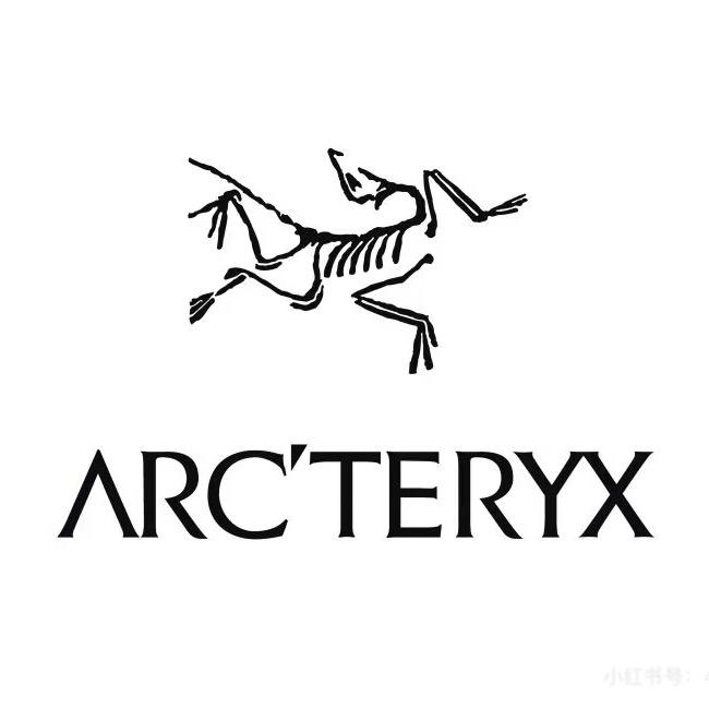 始祖鸟 我又回来了