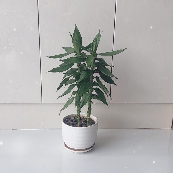 @添添优选