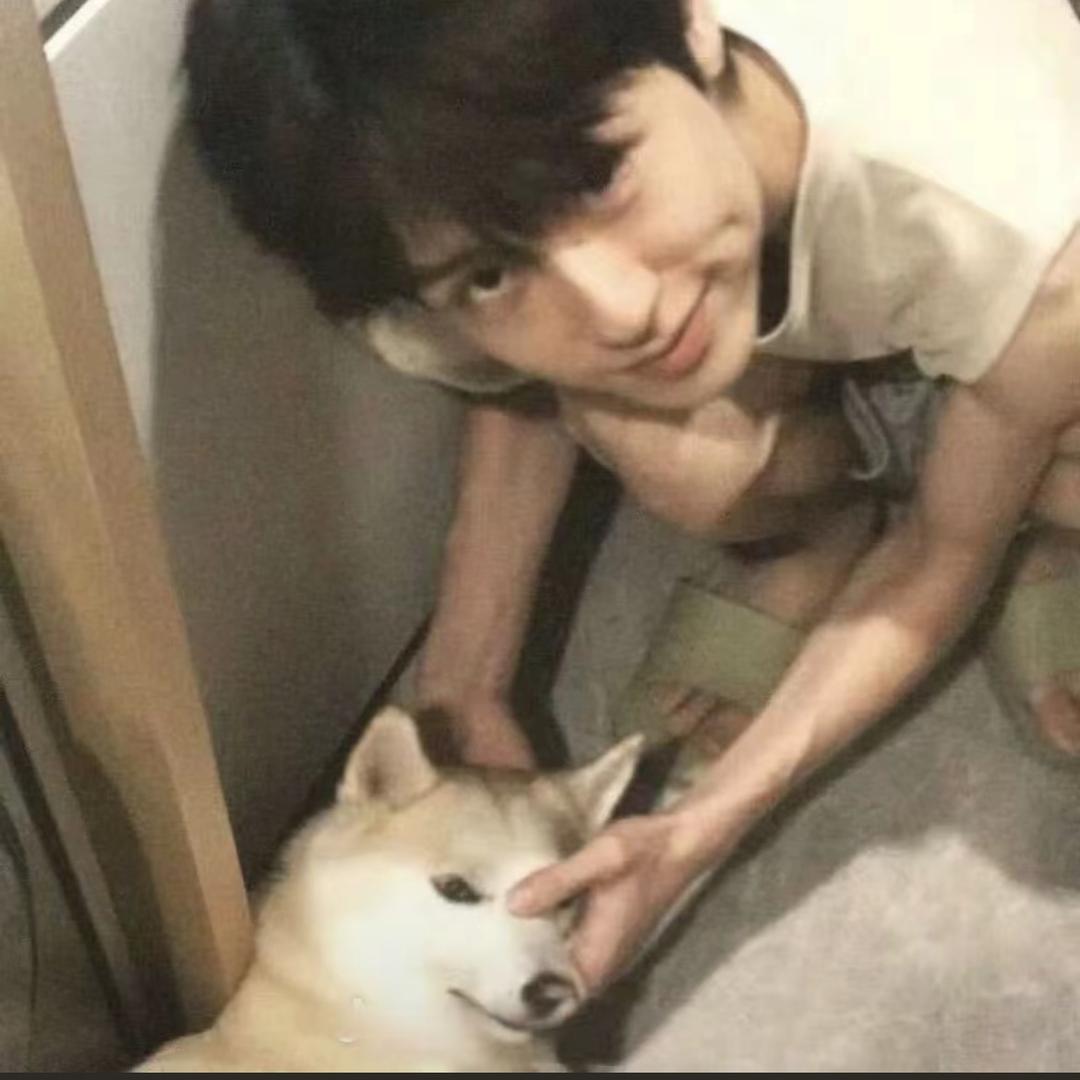 AAA猪饲料批发李哥