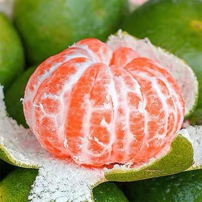 宜昌蜜桔自家果园