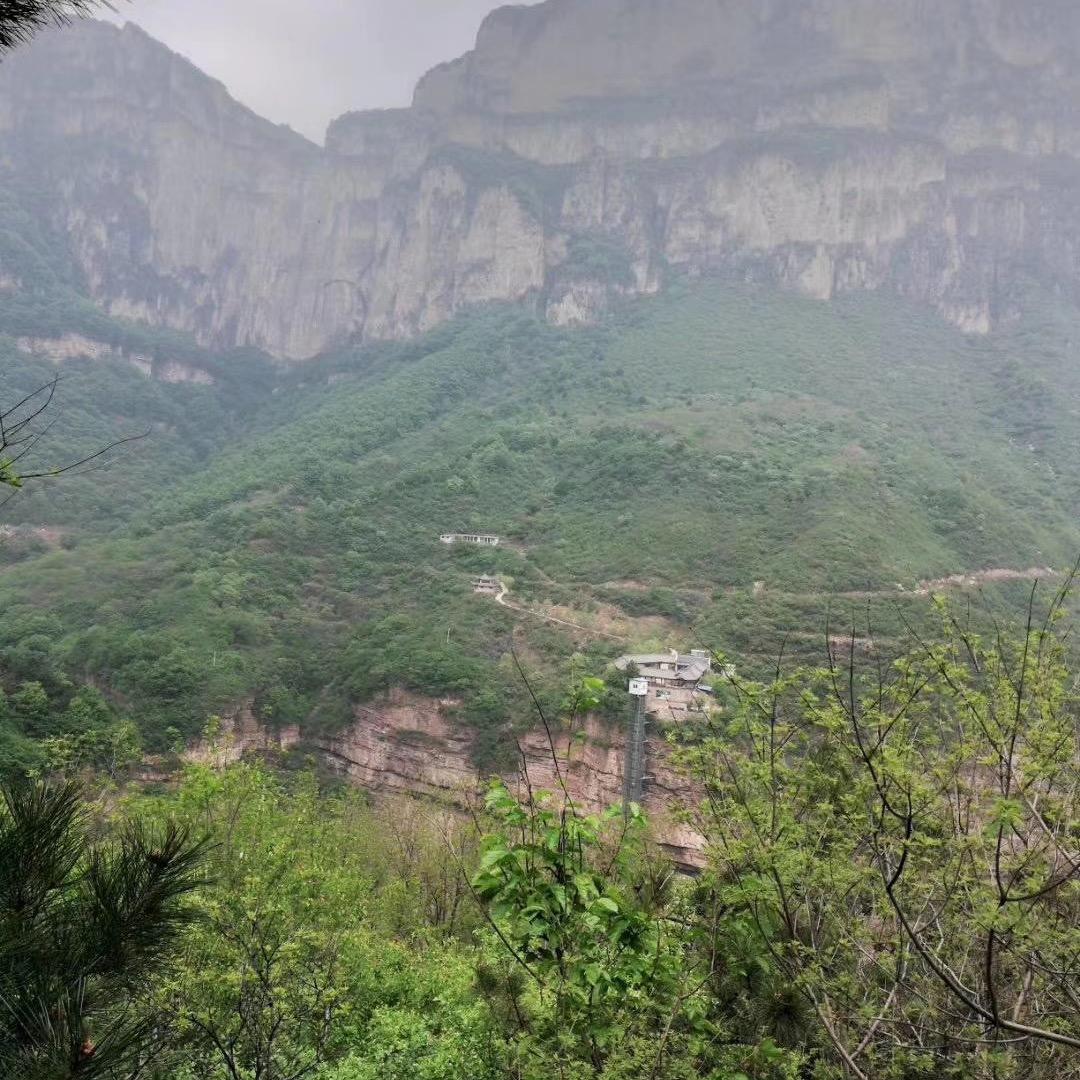 @向着太阳🌞迎着光