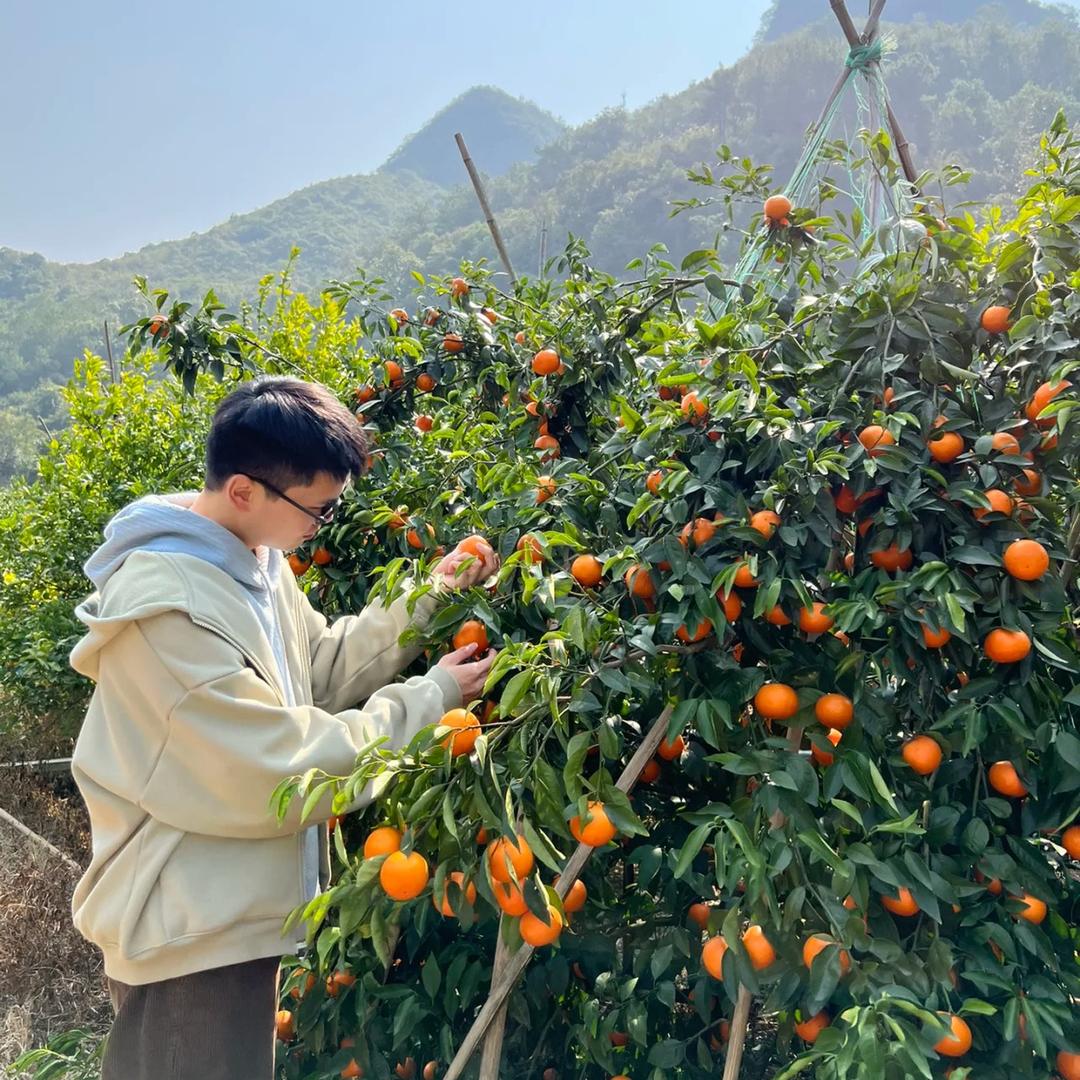 醉创果树苗木专营店