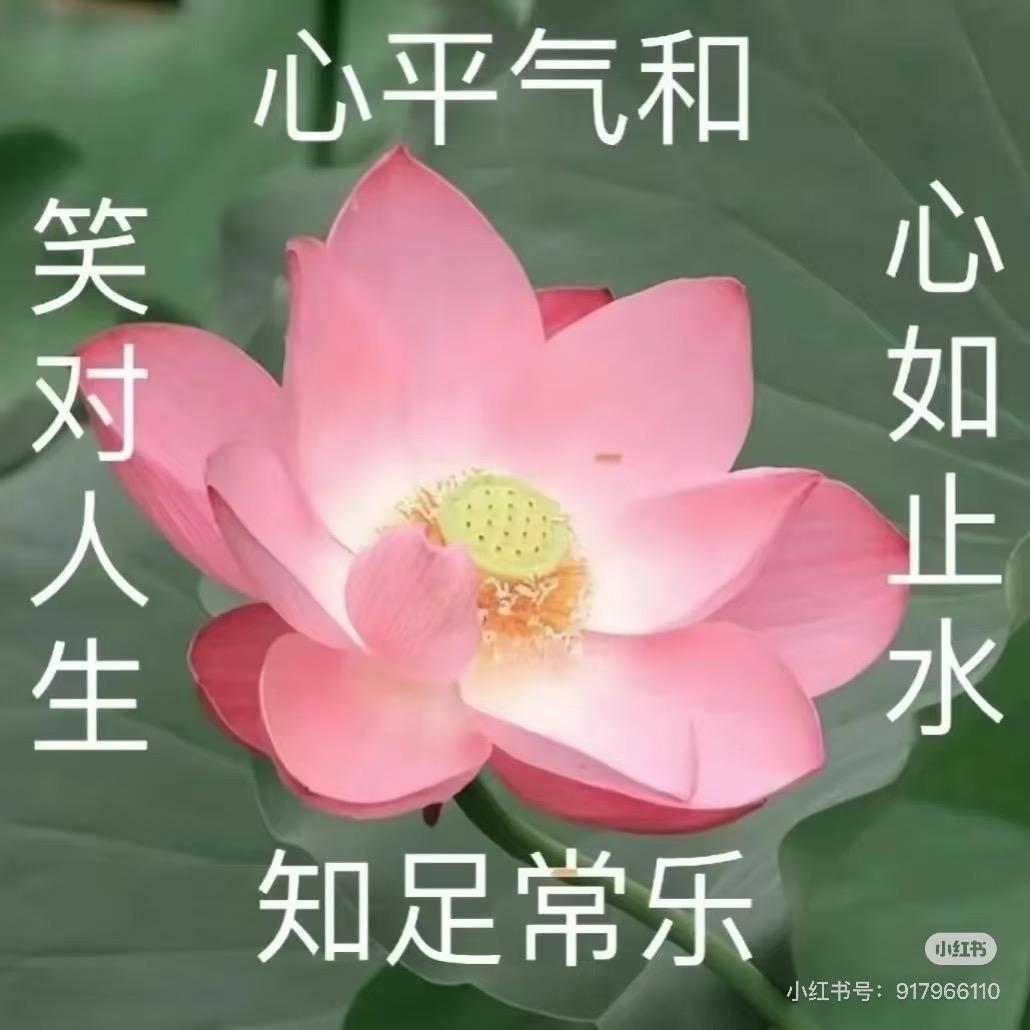 空谷幽兰-花开富贵-秋水伊人