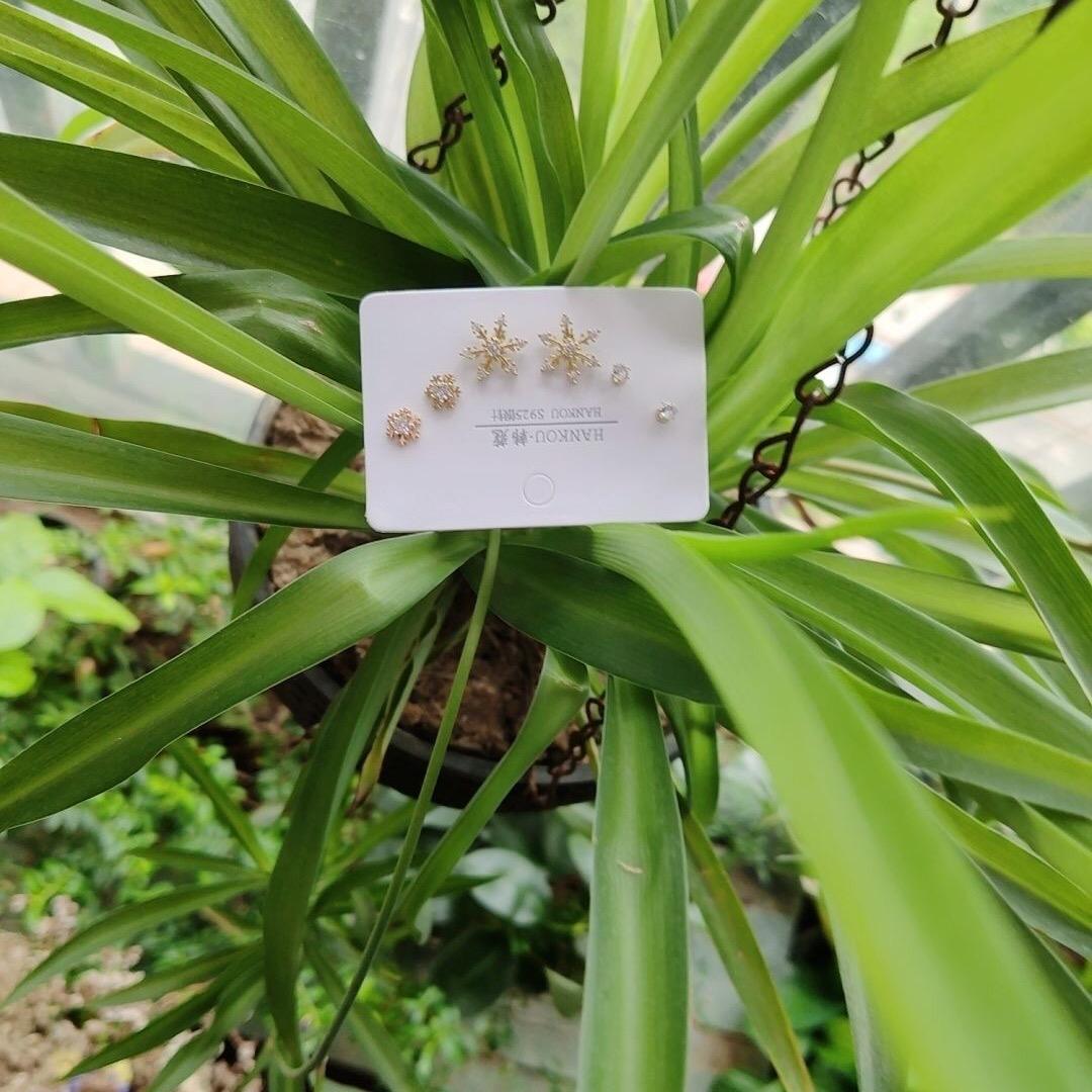 曲老师小课堂