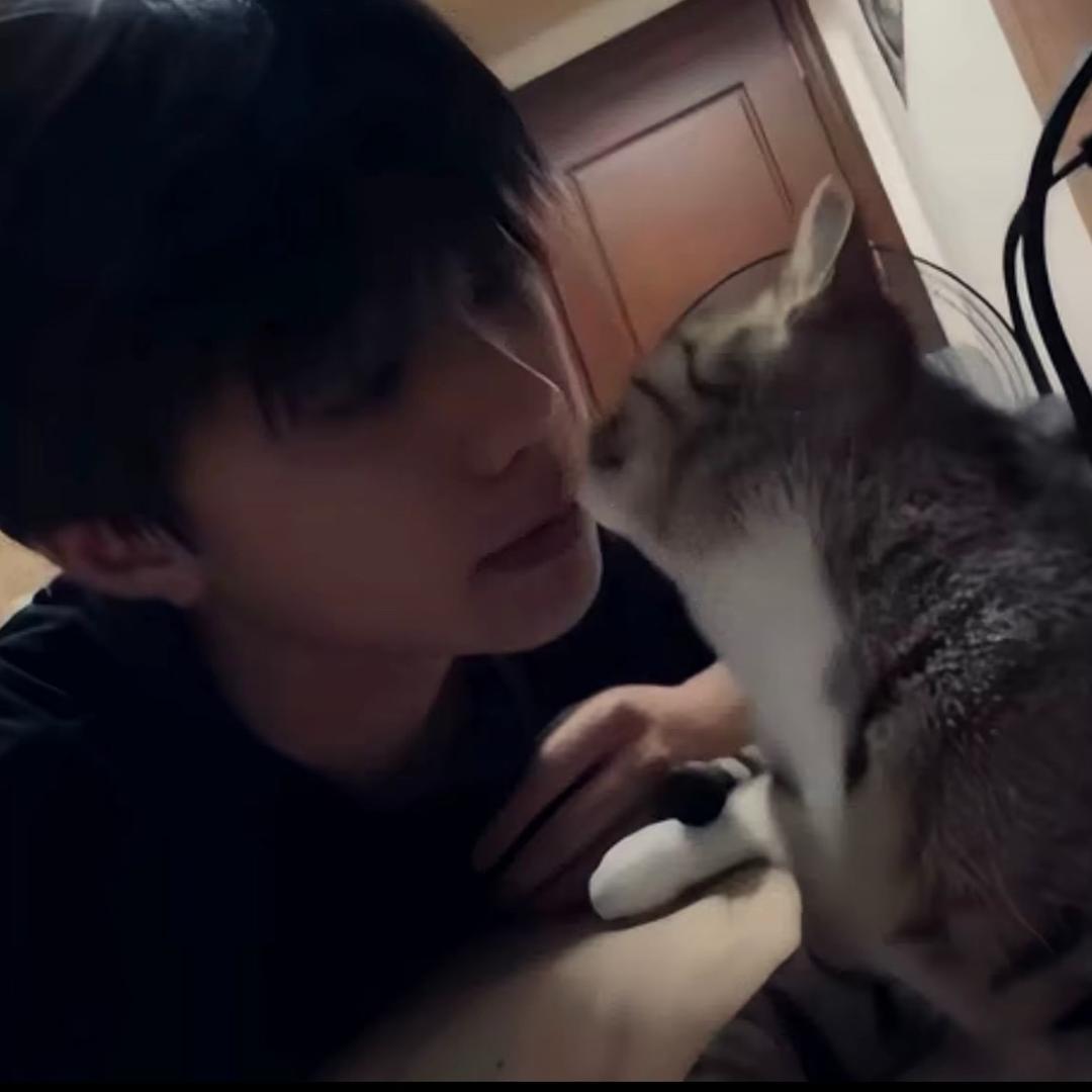 🌈是东不是冬🌈