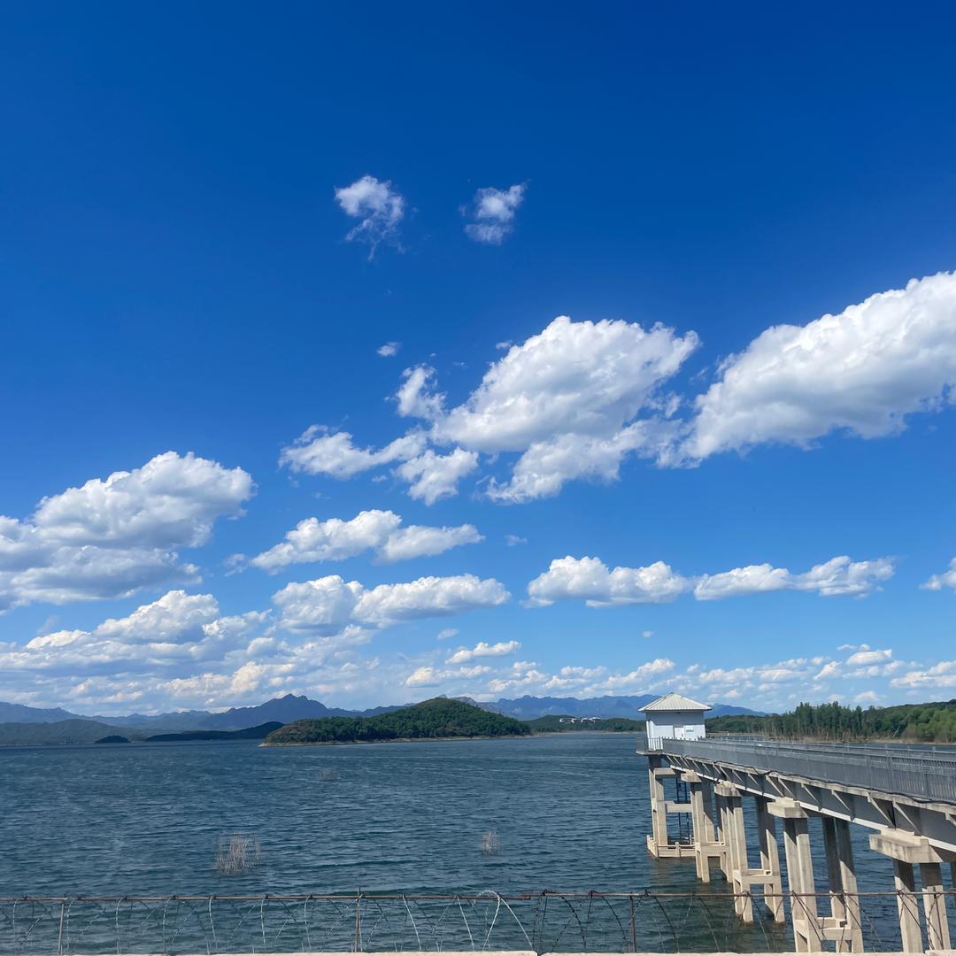 曦宝