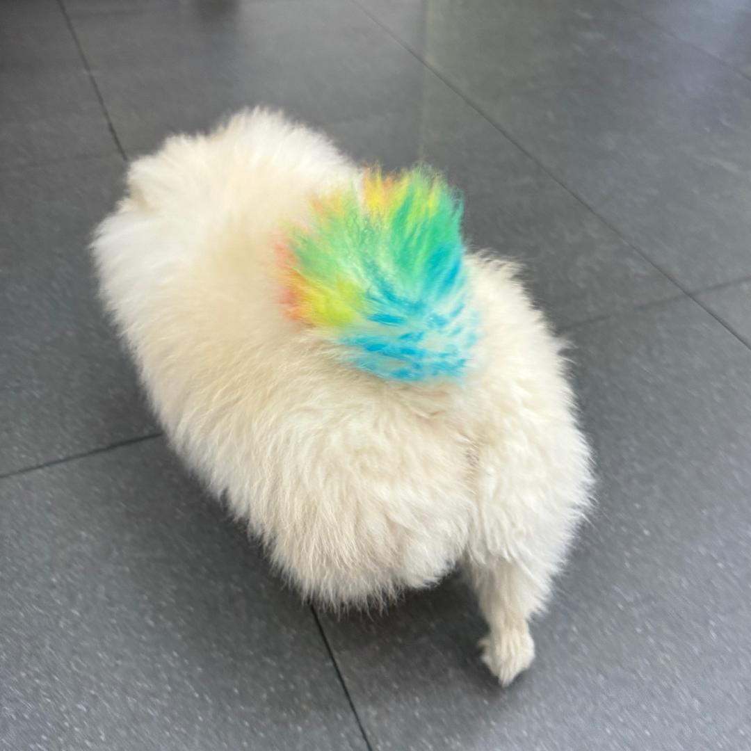 一个点