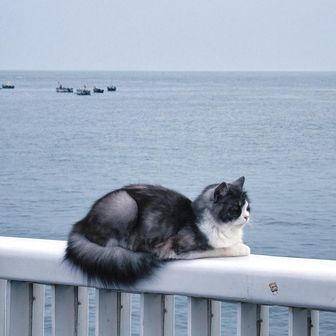 泥椰椰👻