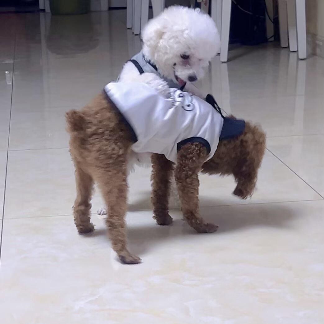 ༊ღ᭄杨家ꦿ꯭菇凉꧔ꦿ᭄💞