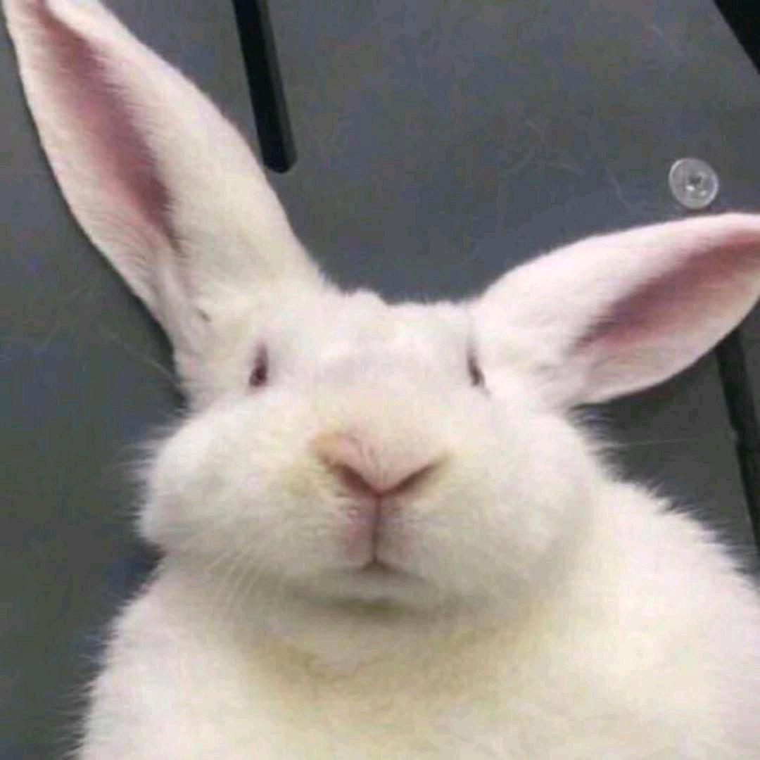 益