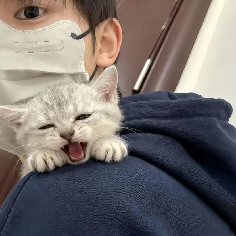 我屁股也很白