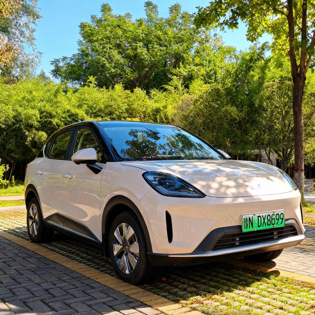 中年少女的缤果S