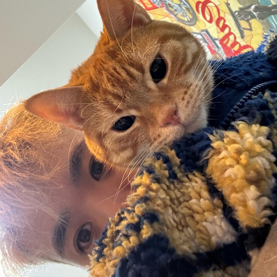 行走的龙田君@抖音