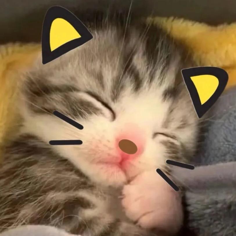 猫牙齿